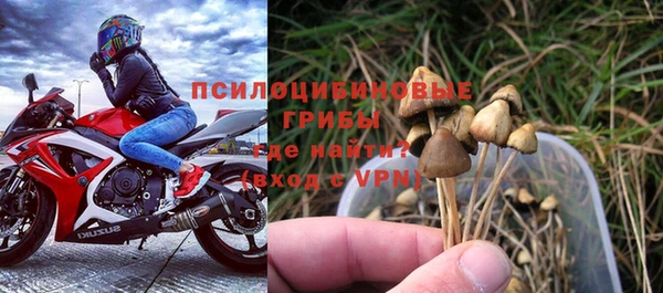 гашик Инта