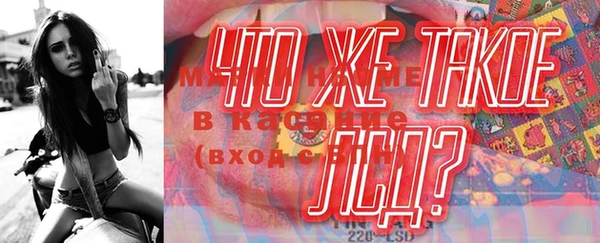 гашик Инта