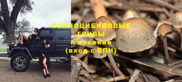 PSILOCYBIN Каменск-Шахтинский