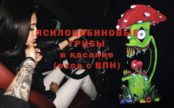 гашик Инта