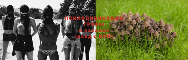 гашик Инта