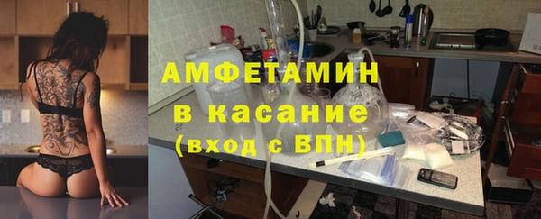 индика Галич