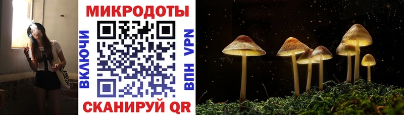 Псилоцибиновые грибы GOLDEN TEACHER  Ковылкино 